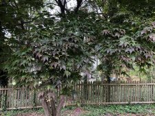 7F5B7FB2-79AD-4073-8620-D0079367D149.jpeg