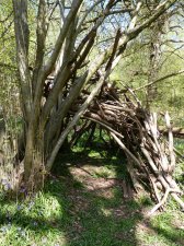 Childrens den Otterbourne woods 205.JPG