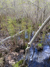 A3035D8E-F7DA-410E-B195-EF52F05CAA53.png
