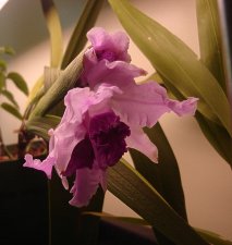 DSC04639.JPG