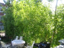 IMG_0029.JPG
