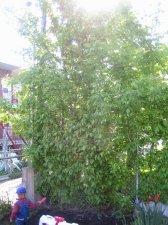 IMG_0030.JPG