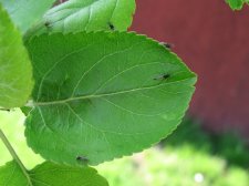 IMG_2123.JPG