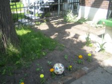 20070523_017.JPG