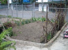 20070520_029.JPG