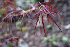 DSC01433.JPG