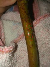 IMG_20210507_115706.jpg