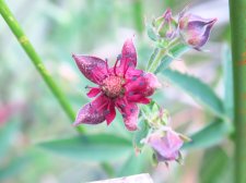 IMG_3005.jpeg