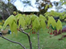 IMG_20210512_172348.jpg
