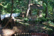 IMG_0729.JPG
