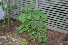 IMG_5440.JPG