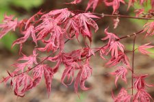 DF6995C5-9C1E-4818-9CAA-F865E6A971E1.jpeg