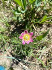 IMG_3886.jpg