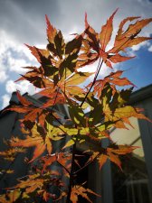 IMG_20210622_102049.jpg