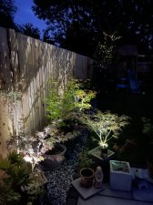 368D063B-0DD7-4569-981F-4EA16BFB5CA6.jpeg