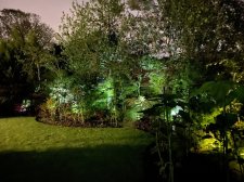 25BF5928-C7C4-43F8-957C-6955BCCBC343.jpeg