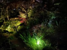 31AB56EC-785D-4D55-9C86-EE985E1D239F.jpeg
