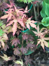 20210719 A. Ghost-1.jpg