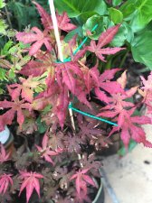 20210803 A.Ghost-2.jpg