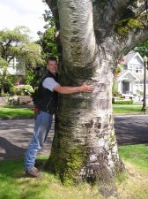 tree hugr.JPG