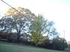 Country Club 11-21-03.JPG