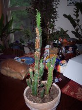 000_0164.jpg