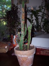 000_0163.jpg