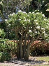 IMG_3737.jpeg