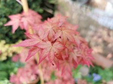 IMG_20210512_182638.jpg