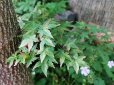 IMG_20210701_191606.jpg