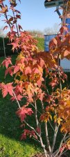 IMG_20211123_122050.jpg