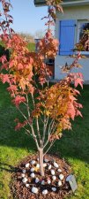 IMG_20211123_122055.jpg