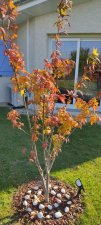 IMG_20211123_122123.jpg