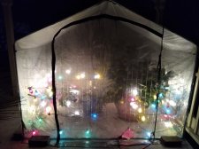 New Greenhouse Dec 5 2021 at 7 AM.jpg