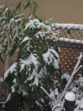 IMG_7863.JPG