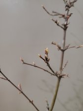 20220228_175447.jpg