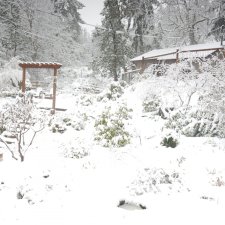 Snow - April 10 2022.JPG