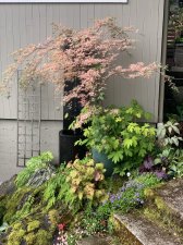 DB1ED8C2-98BC-481C-A75D-0266D559F4C7.jpeg