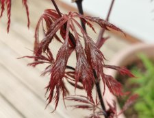 IMG_20220414_201025.jpg