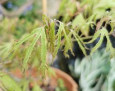 IMG_20220414_201326.jpg