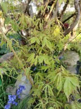 IMG_20220418_181055.jpg