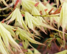 IMG_20220419_224344.jpg