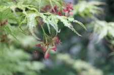 IMG_7988.JPG