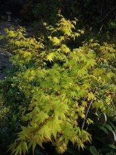 IMG_20220424_084336.jpg