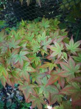 IMG_20220424_122544.jpg