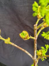 20220424_094638.jpg