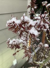 9243999A-F35E-4C59-9A37-47B3272526F8.jpeg