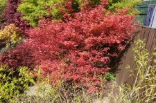 DSC00280.JPG