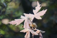 res_DSC4986.JPG