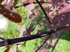 ACD9D400-CECD-4A5F-BC16-AC54F0AAB72A.jpeg